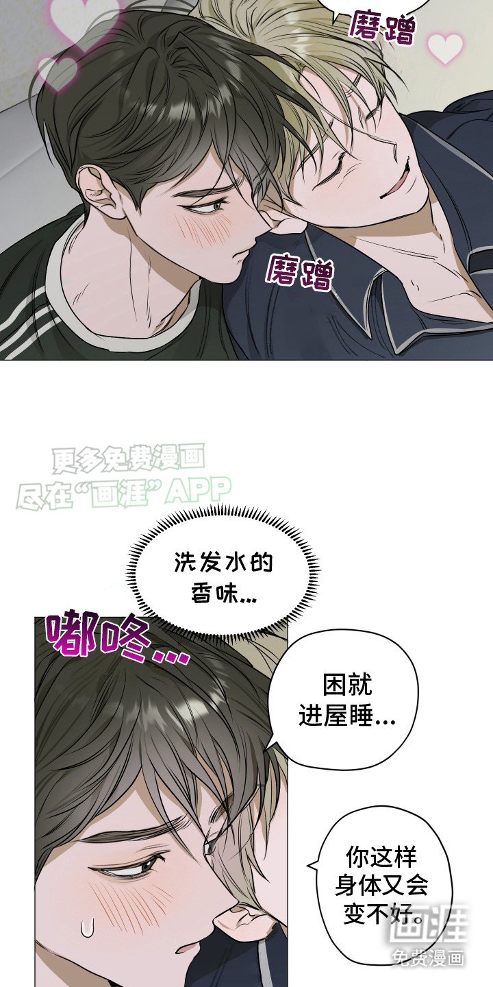第6章：猫咪