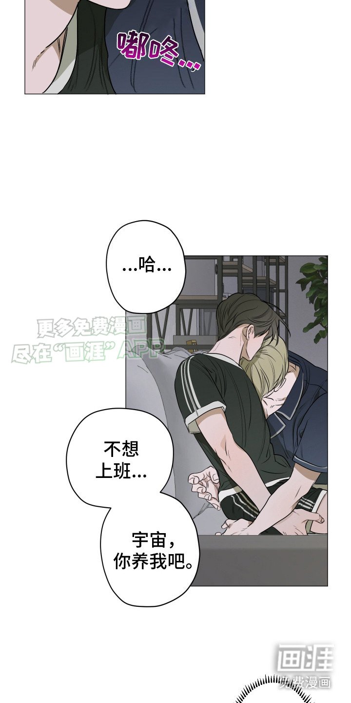第6章：猫咪
