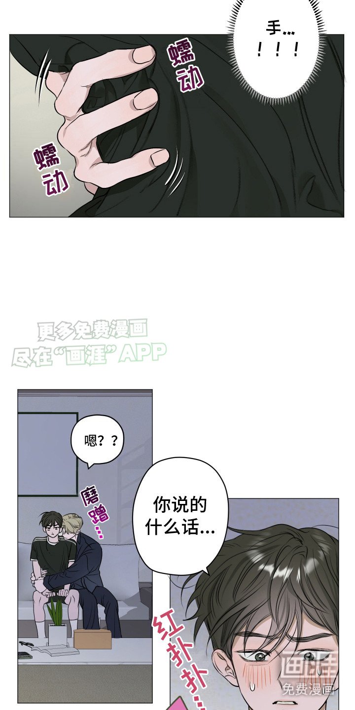 第6章：猫咪