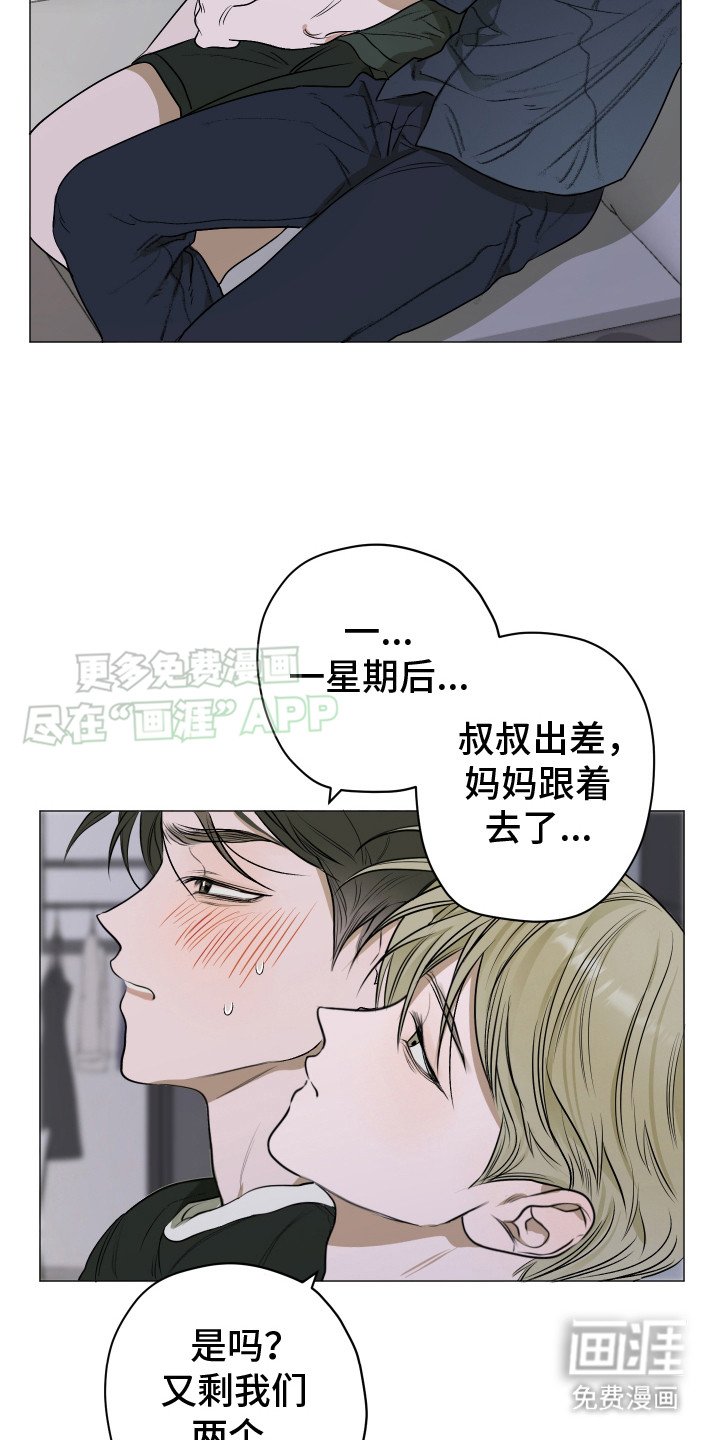 第6章：猫咪