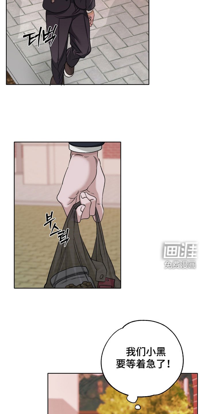 第71章：【第二季】喂猫
