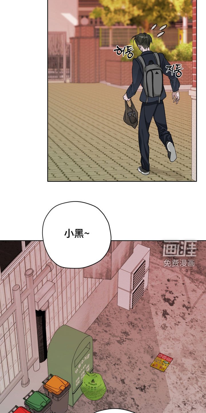 第71章：【第二季】喂猫
