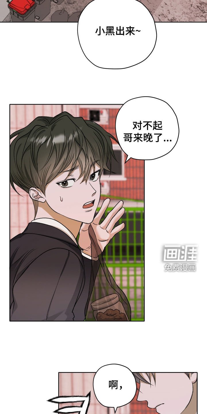 第71章：【第二季】喂猫