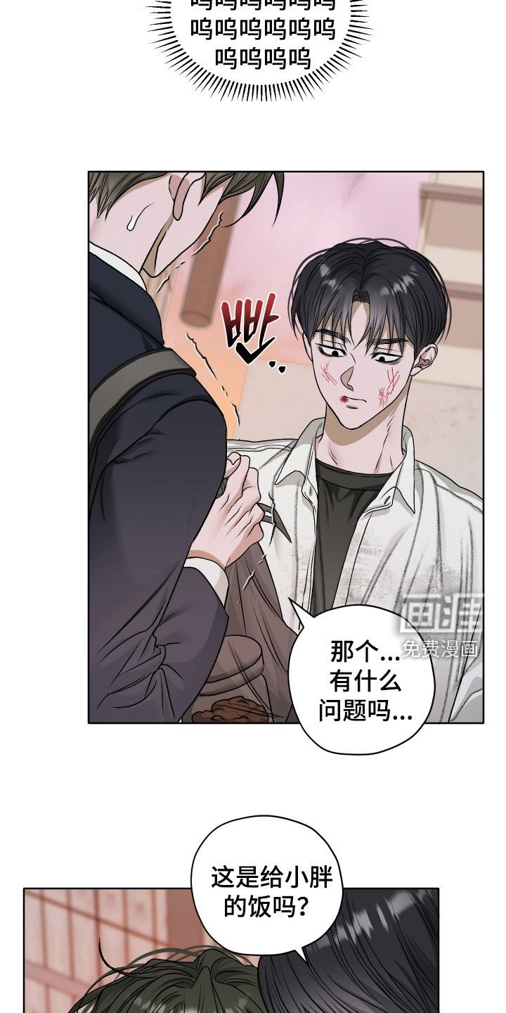第71章：【第二季】喂猫