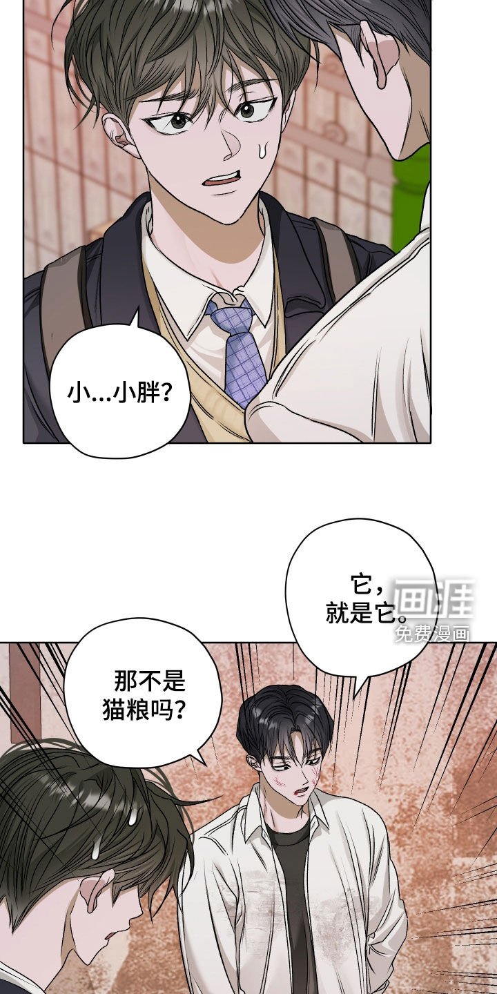 第71章：【第二季】喂猫