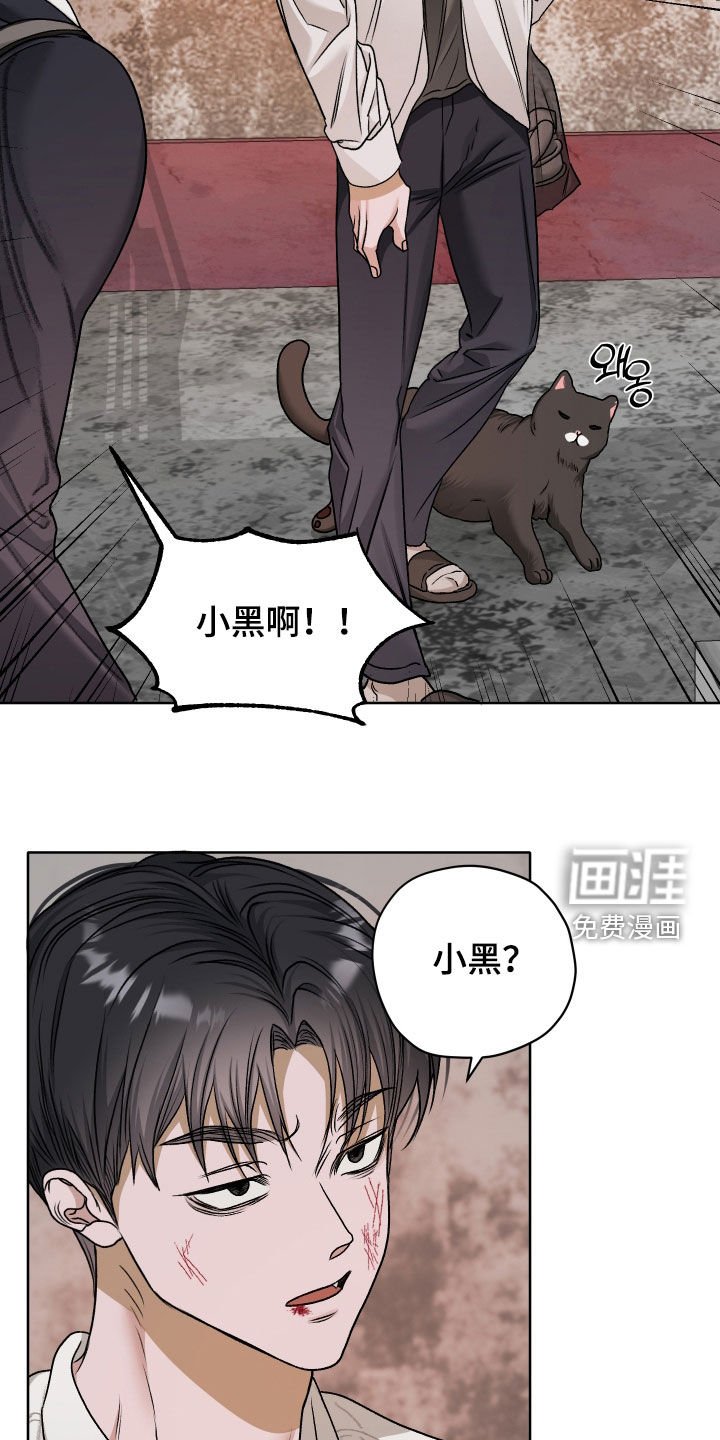 第71章：【第二季】喂猫