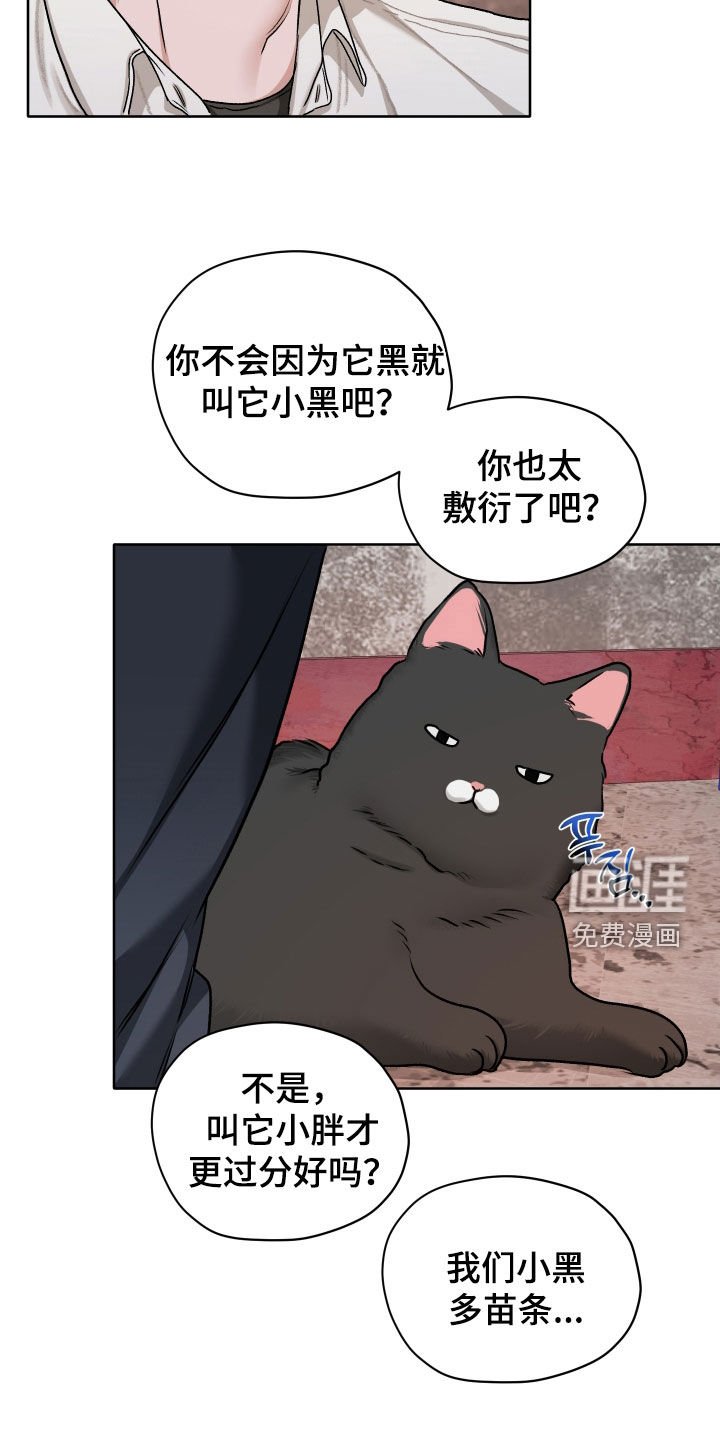 第71章：【第二季】喂猫