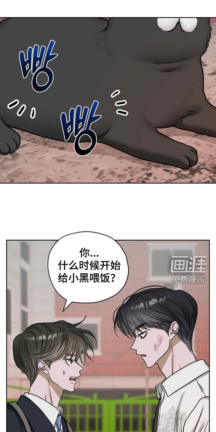 第71章：【第二季】喂猫
