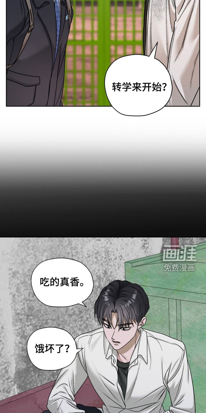 第71章：【第二季】喂猫