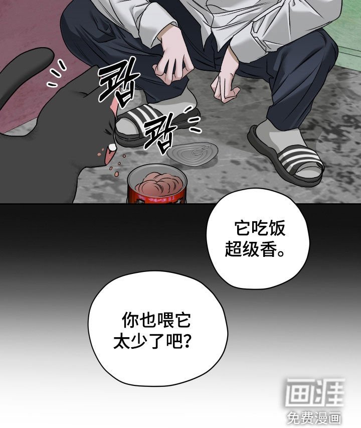 第71章：【第二季】喂猫