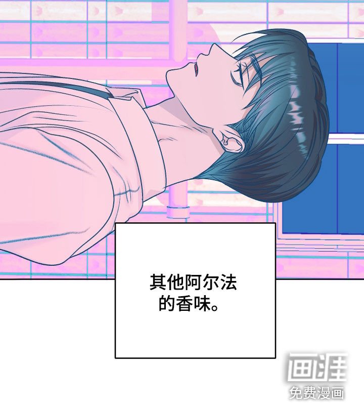 第72章：【第二季】阿尔法的香味