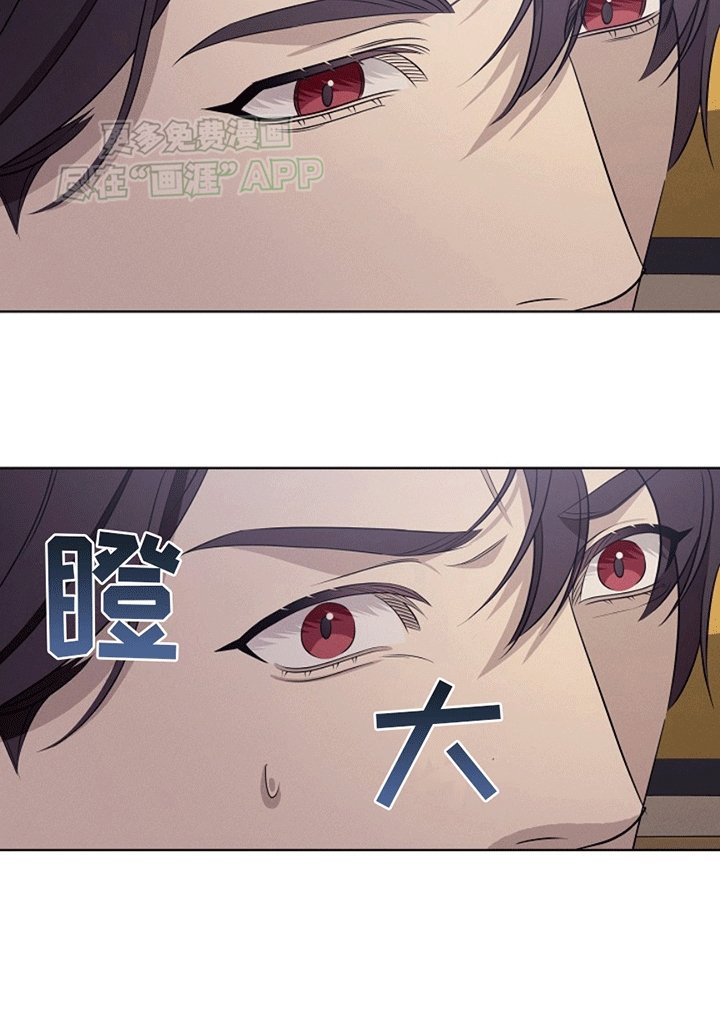 第4章：缺失的记忆