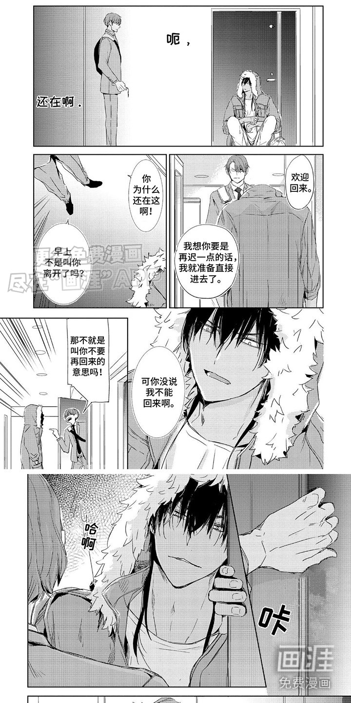 第8章：坦率一点
