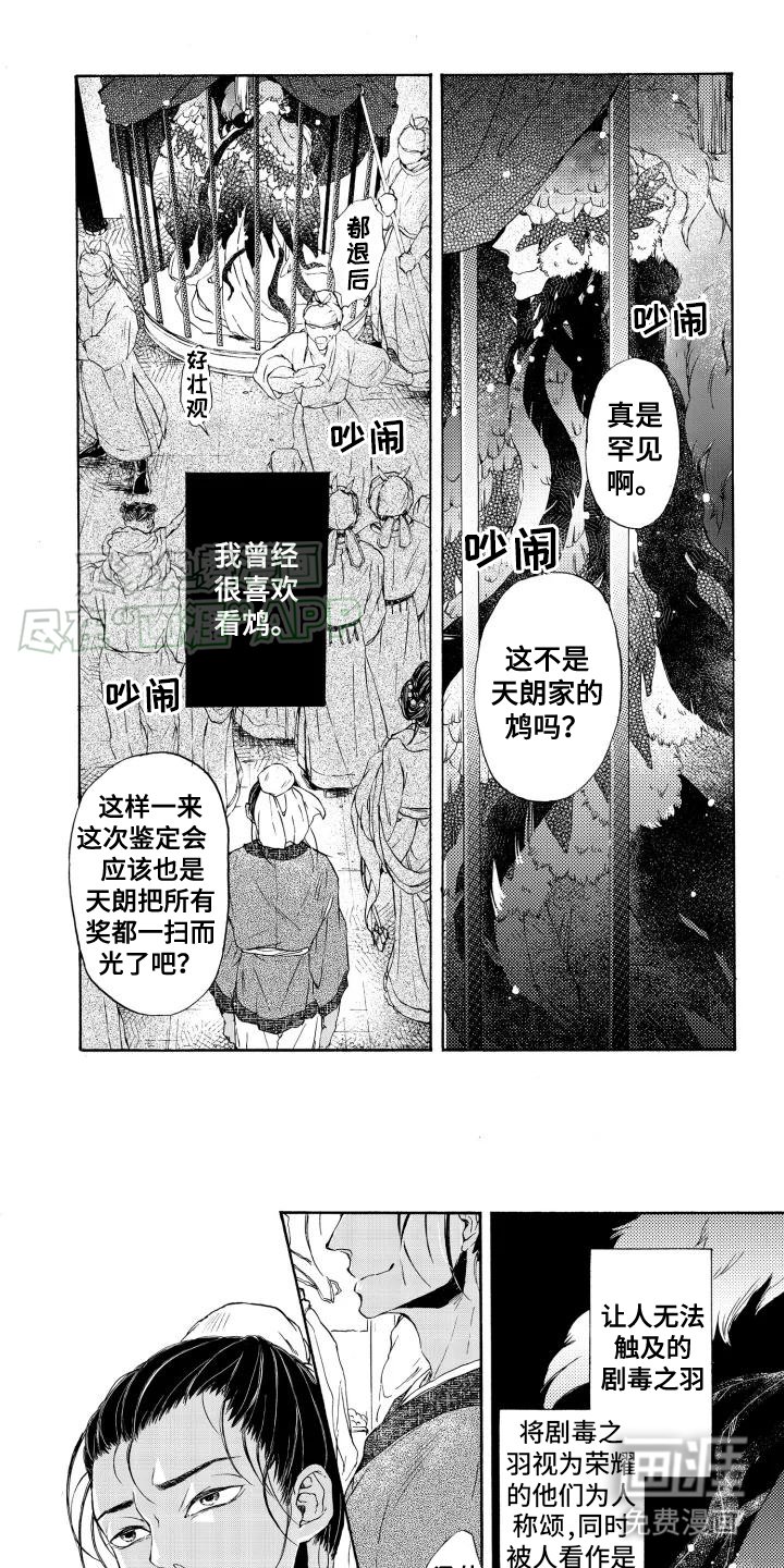 第1章：鸠鸟