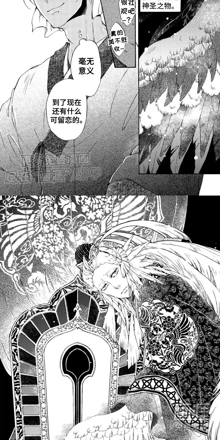第1章：鸠鸟