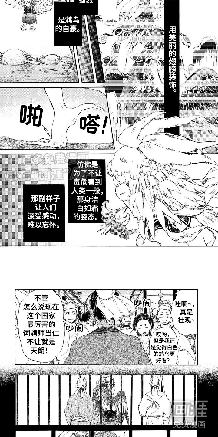 第1章：鸠鸟