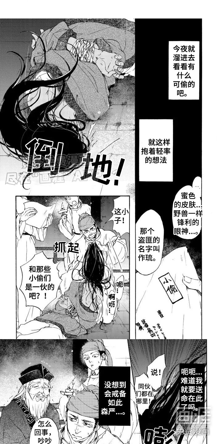 第1章：鸠鸟