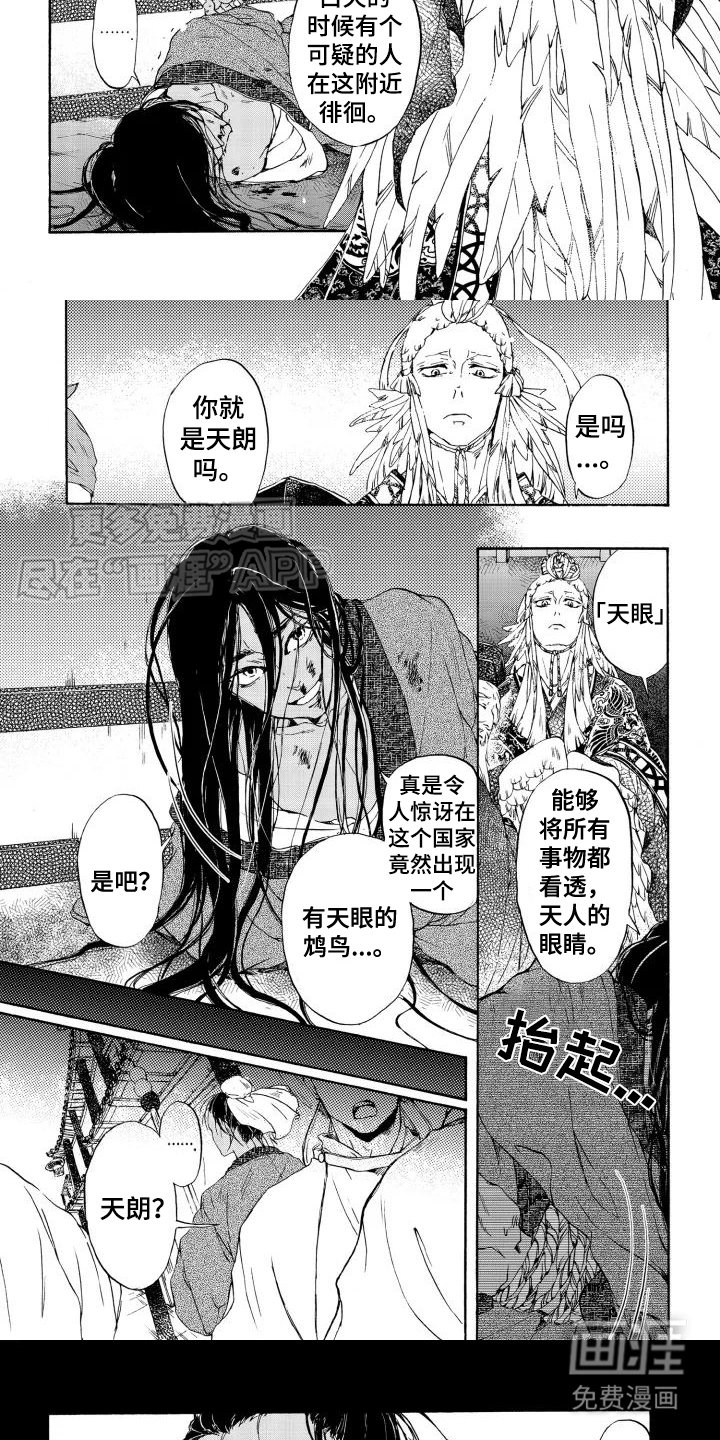 第1章：鸠鸟