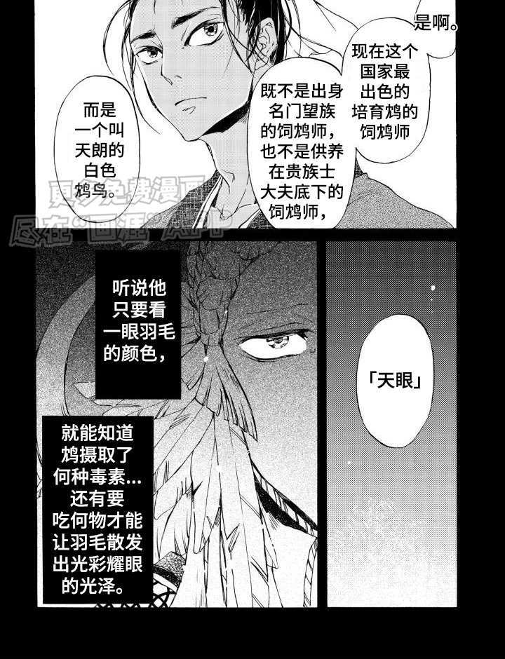 第1章：鸠鸟