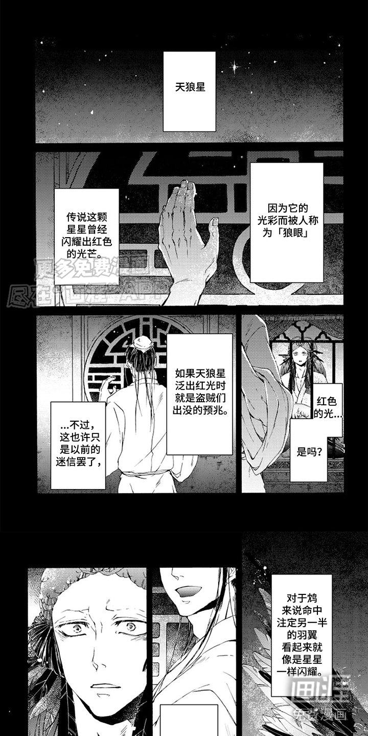 第11章：寸步难行
