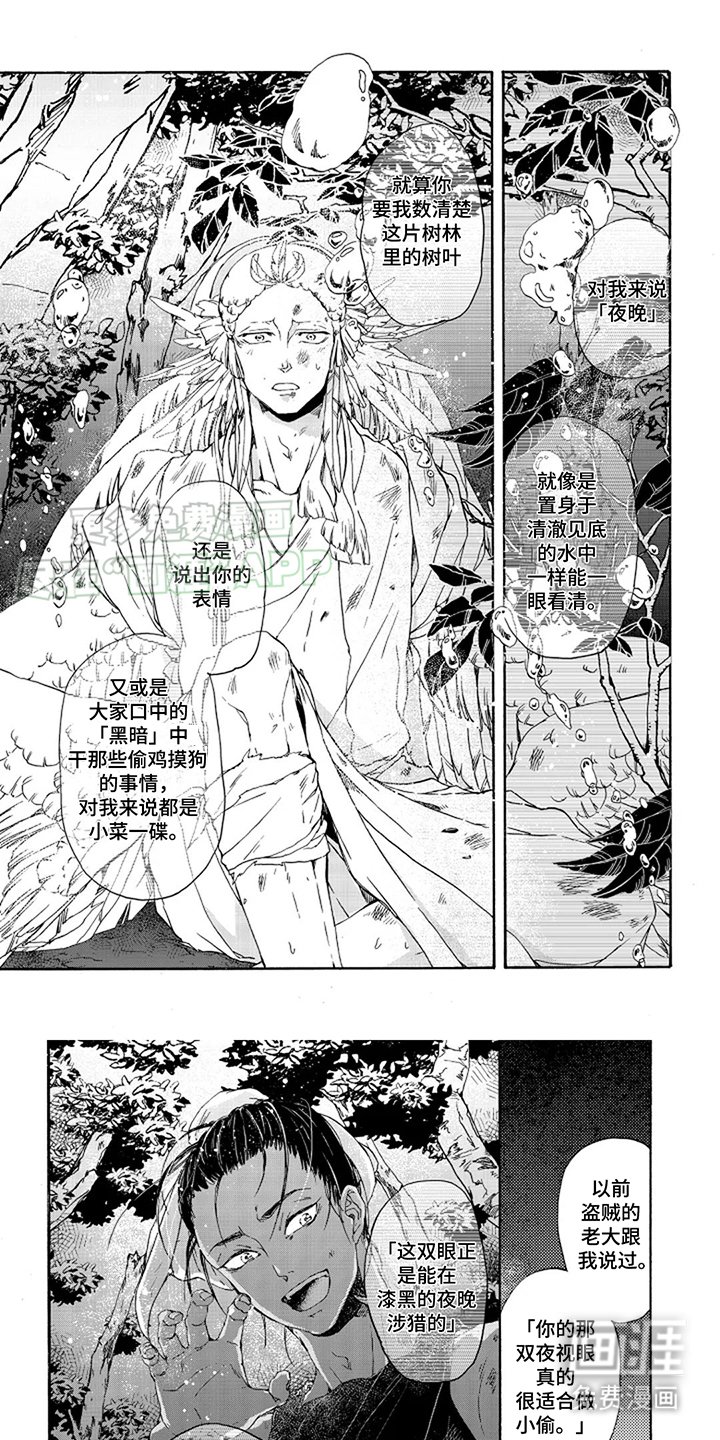 第12章：夜视眼