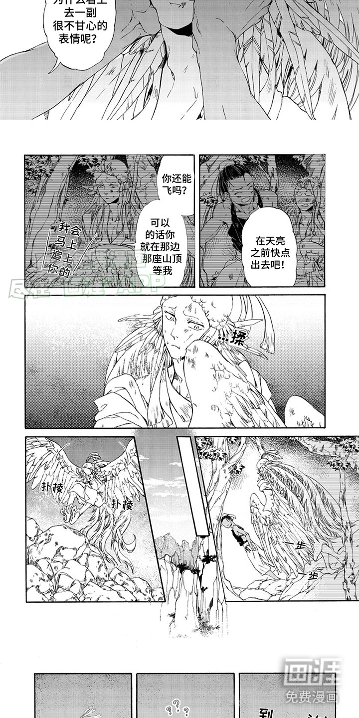 第12章：夜视眼