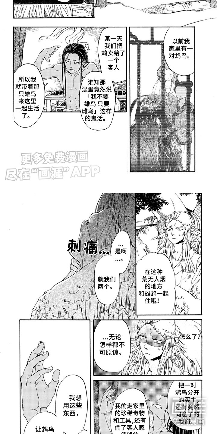 第13章：朝前看 