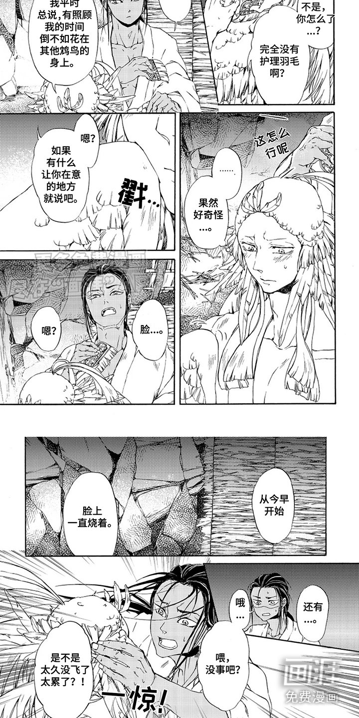 第13章：朝前看 