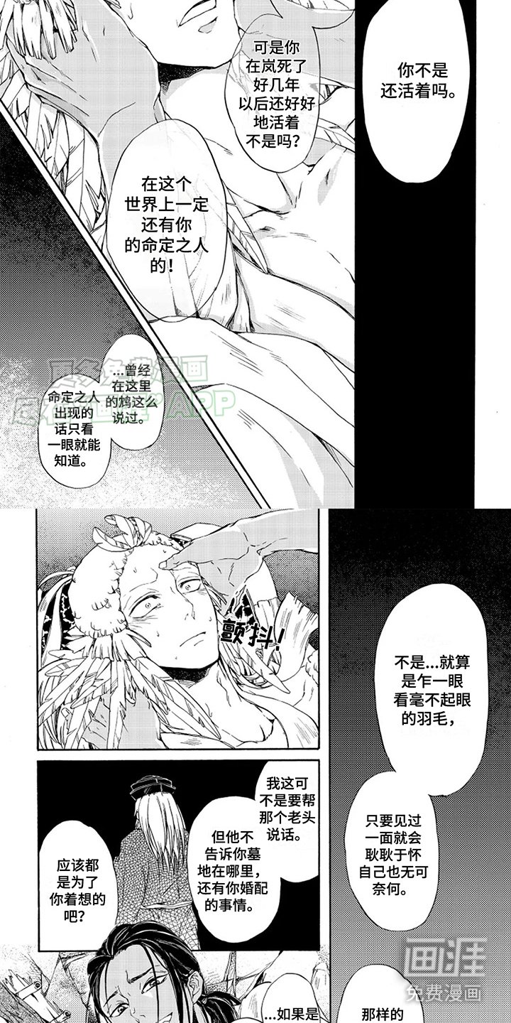 第13章：朝前看 