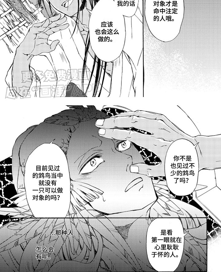 第13章：朝前看 