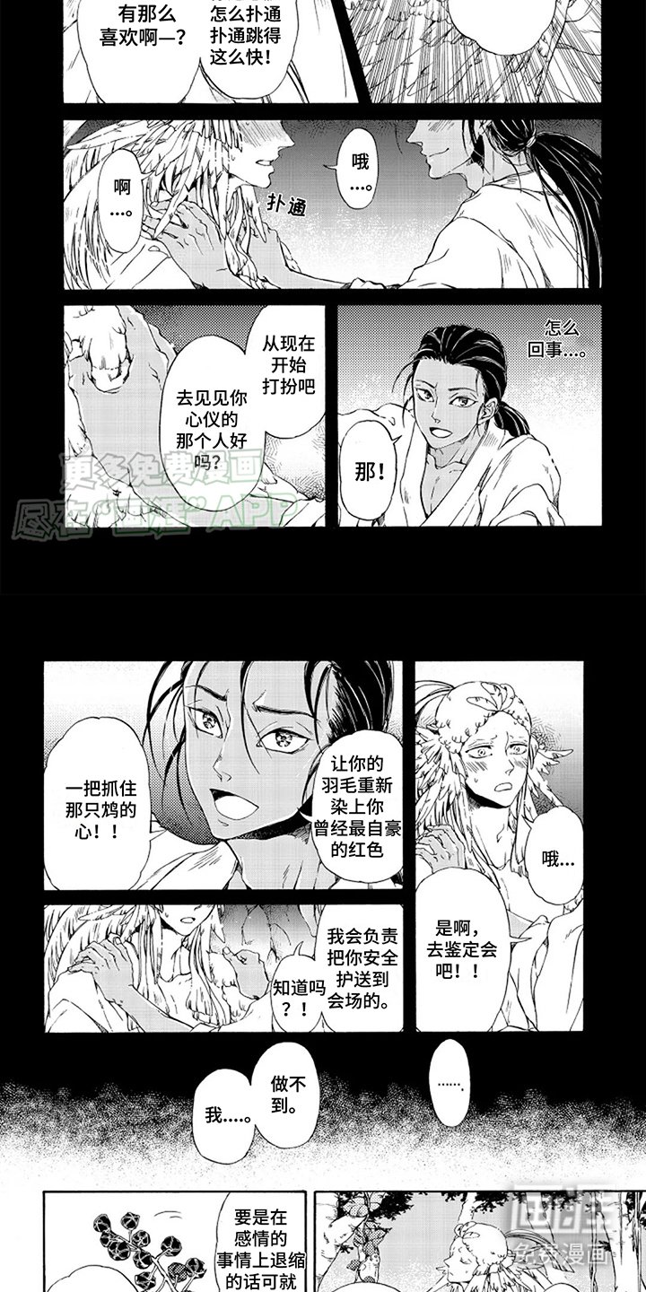 第15章：喂食