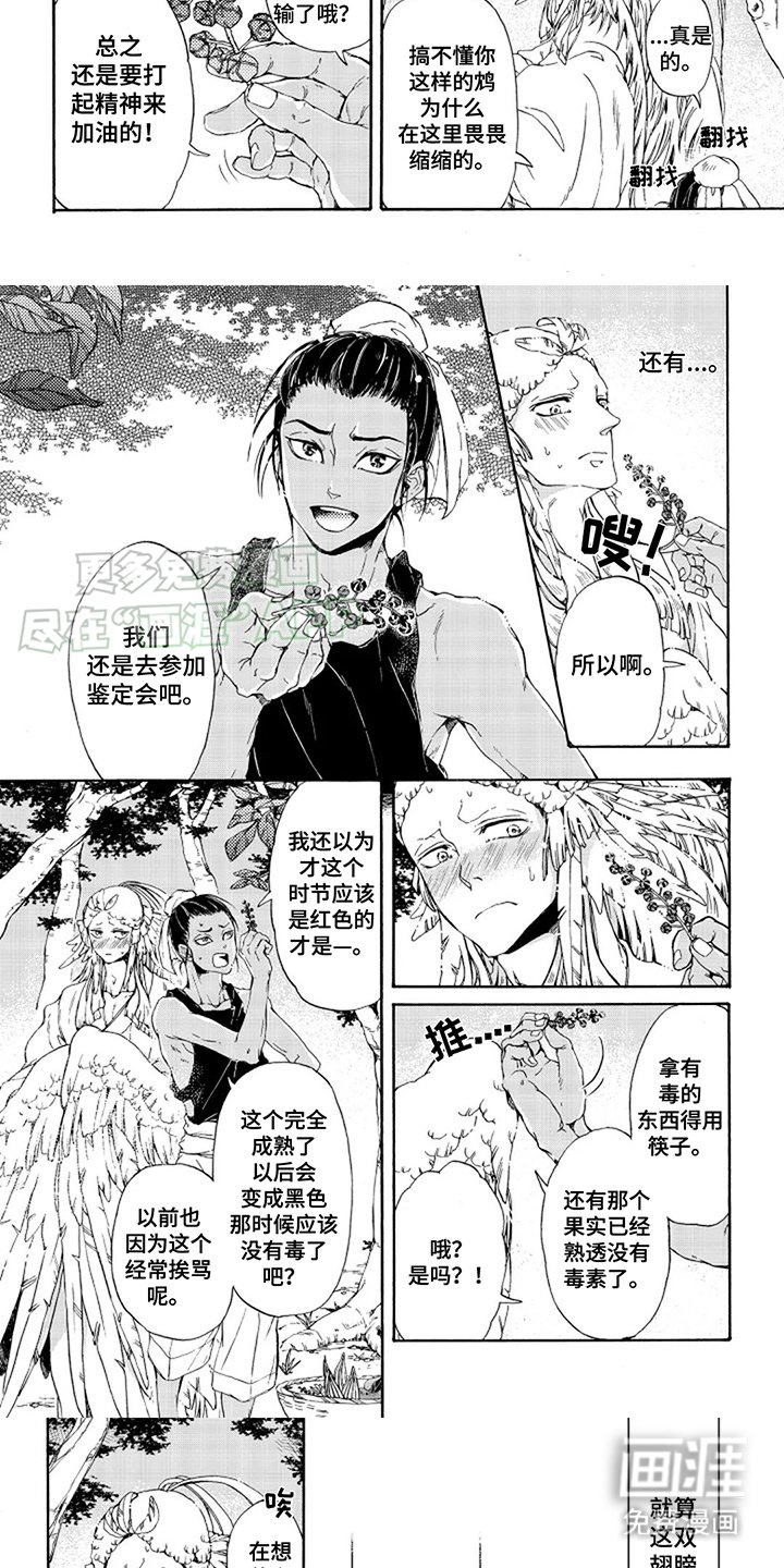 第15章：喂食