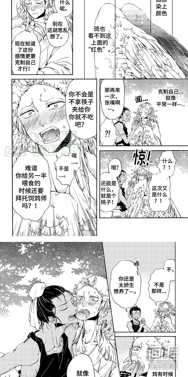 第15章：喂食
