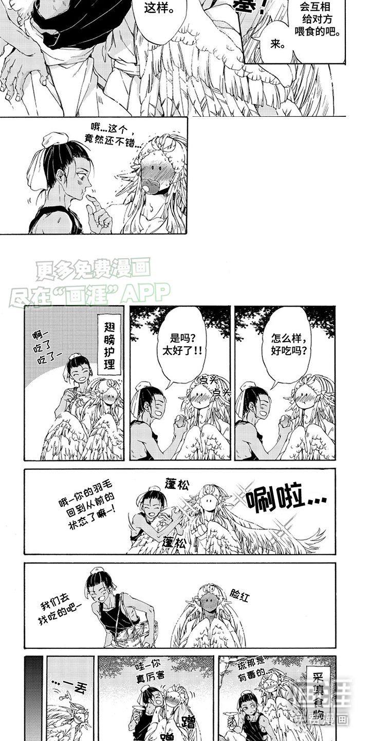 第15章：喂食
