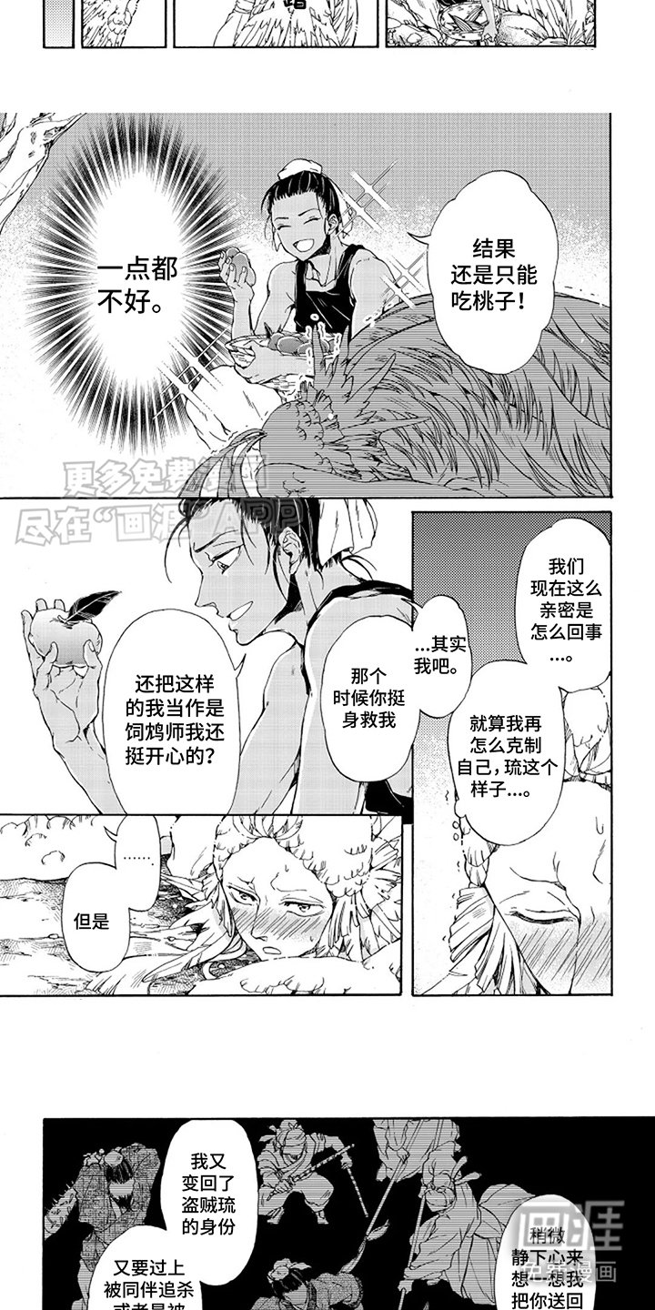 第15章：喂食