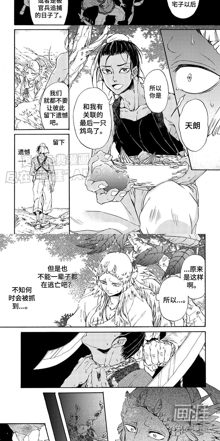 第15章：喂食