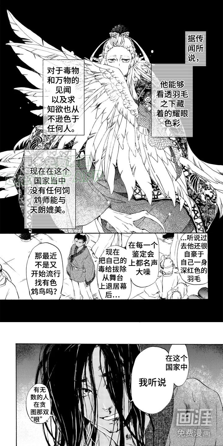 第2章：饲鸟师