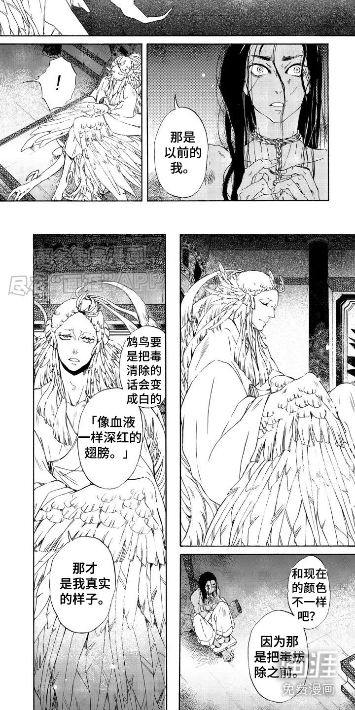第2章：饲鸟师
