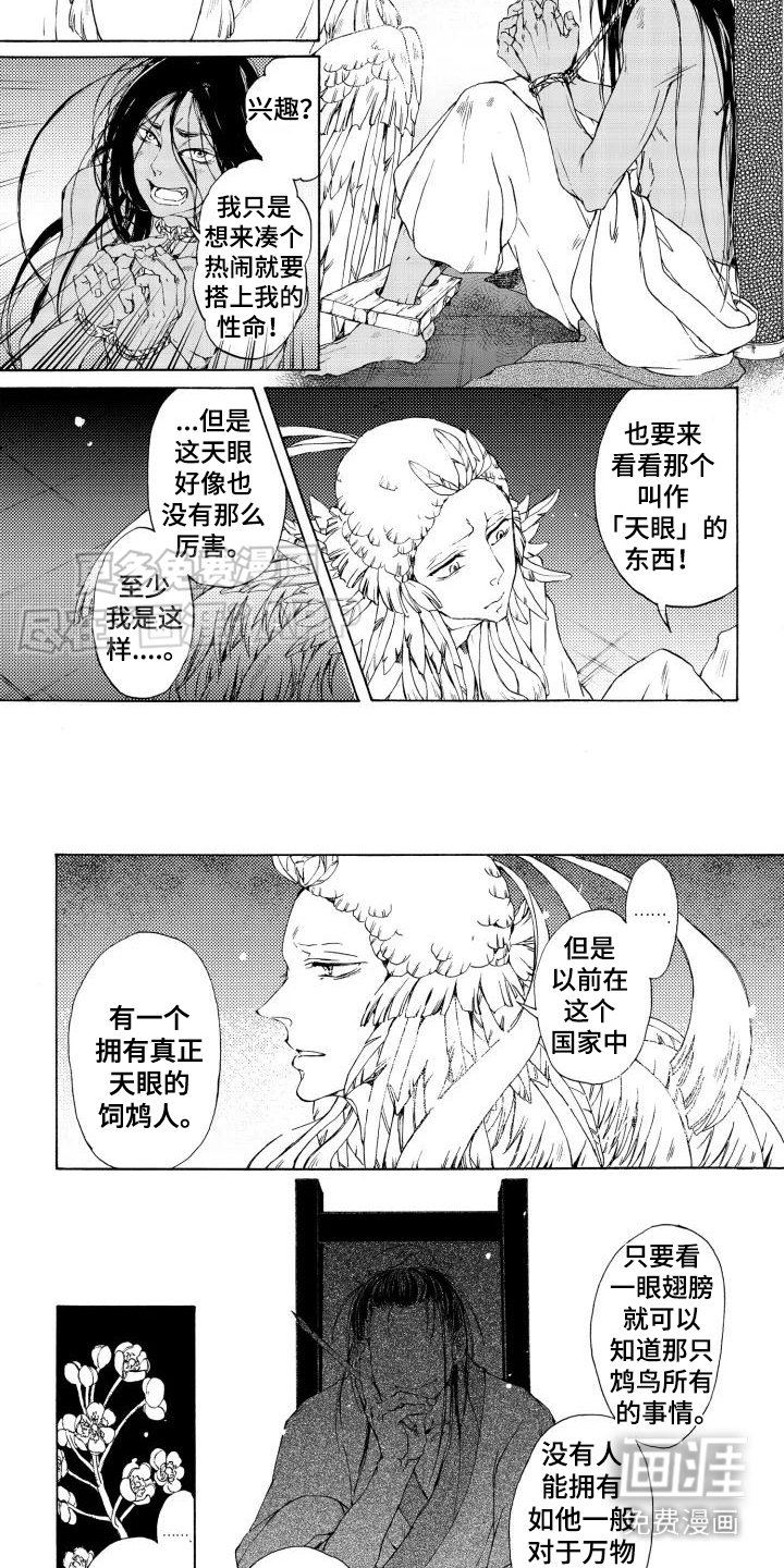 第2章：饲鸟师