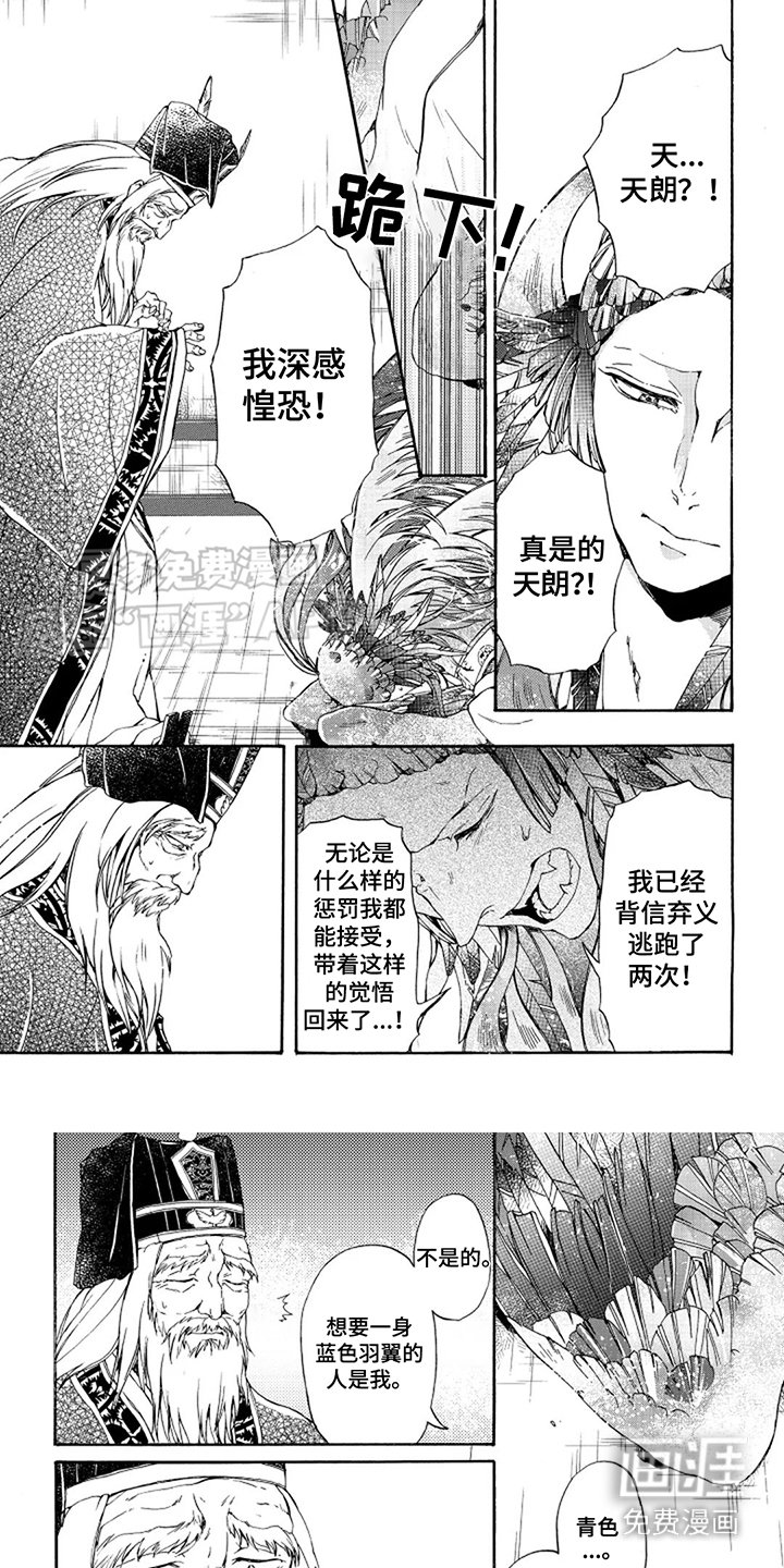 第20章：鉴定会