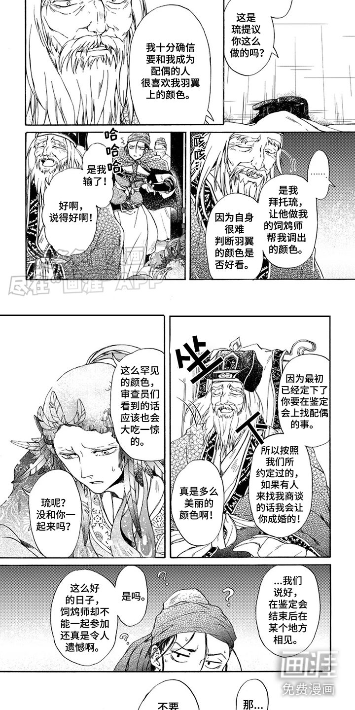 第20章：鉴定会