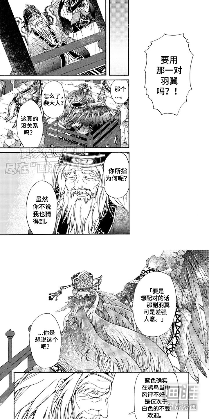 第20章：鉴定会