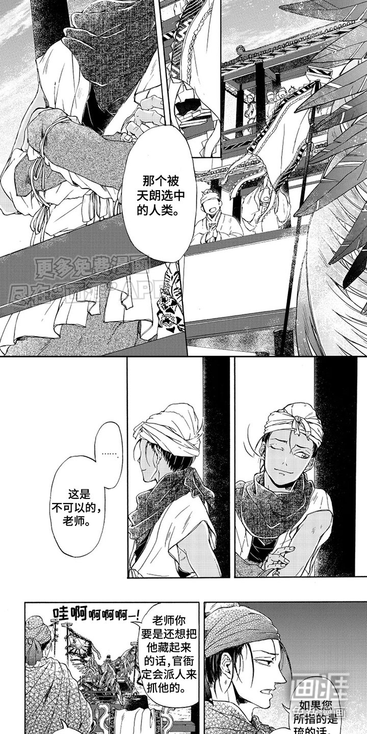 第20章：鉴定会