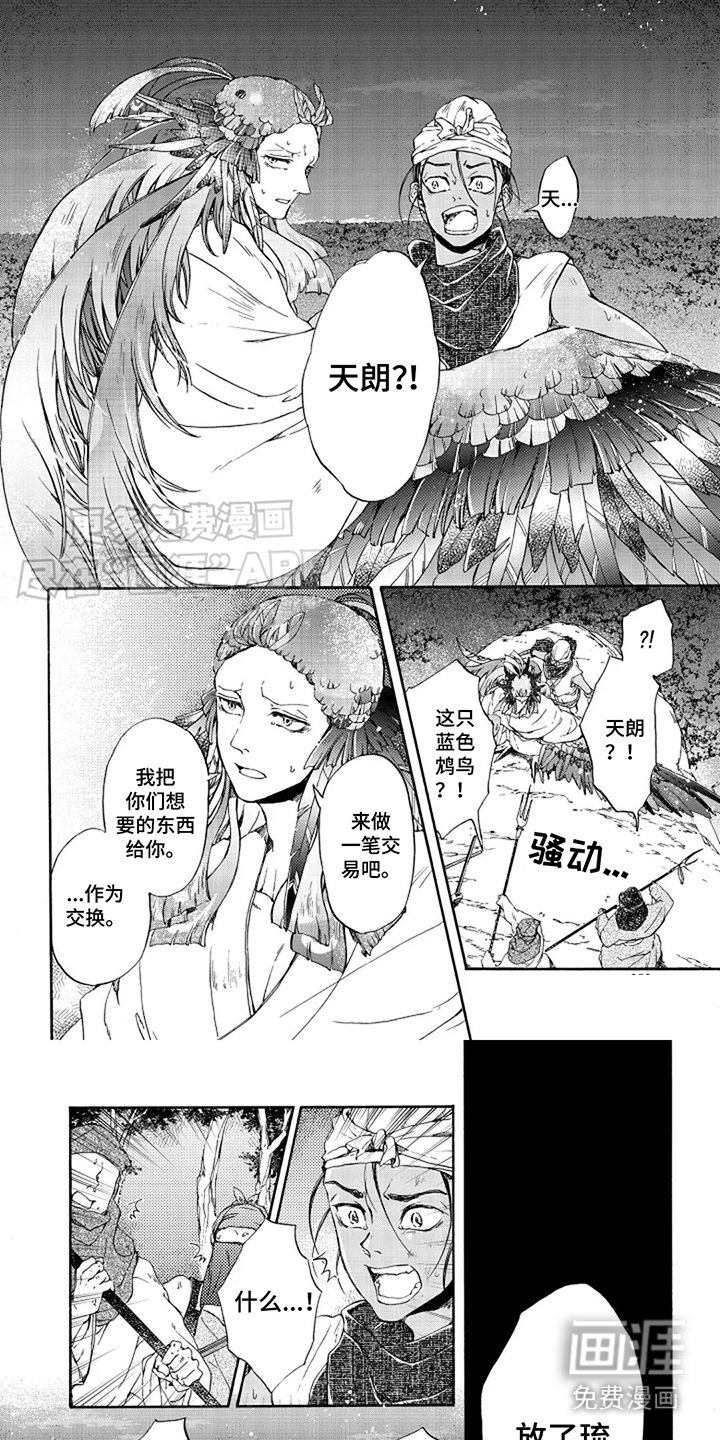 第23章：赌一把