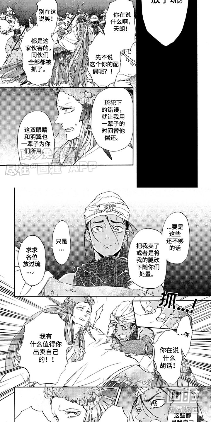 第23章：赌一把