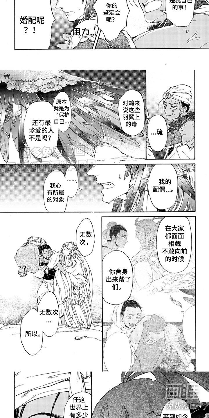 第23章：赌一把