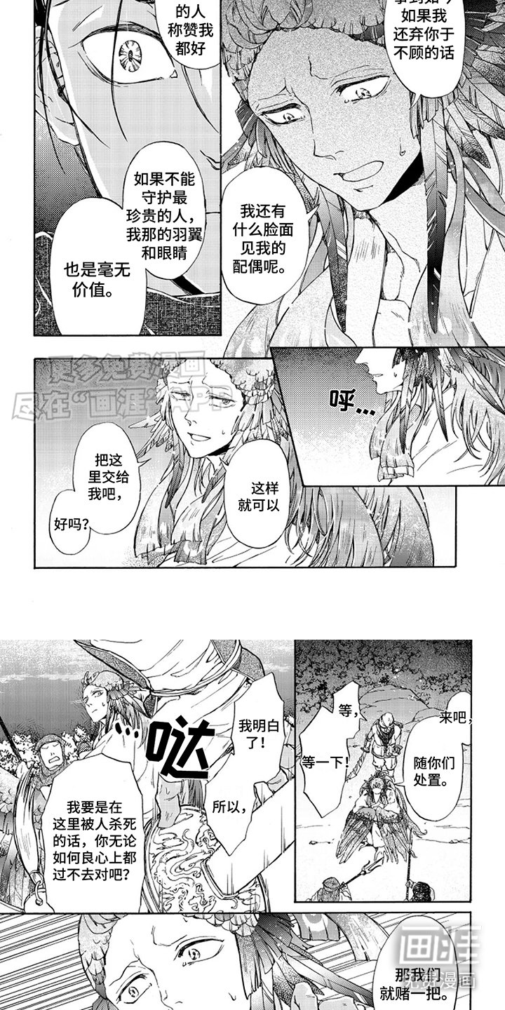 第23章：赌一把