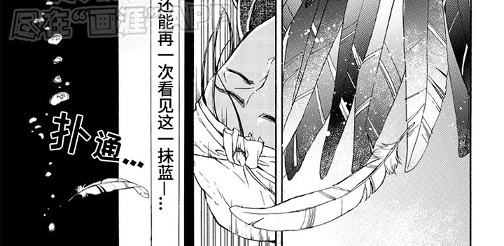 第23章：赌一把