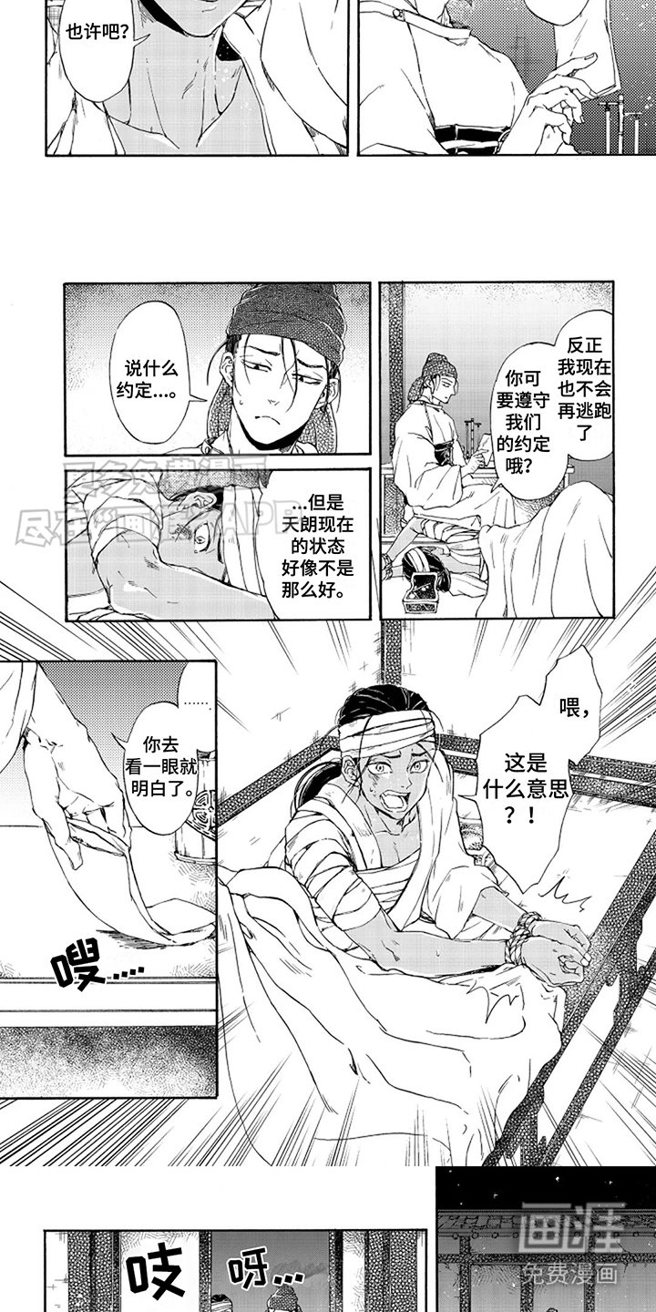 第24章：喜欢你