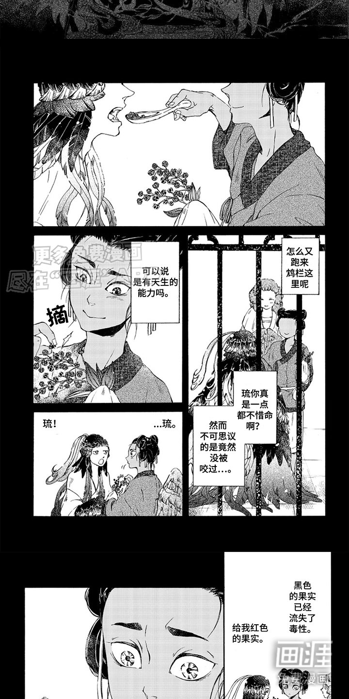 第3章：很期待